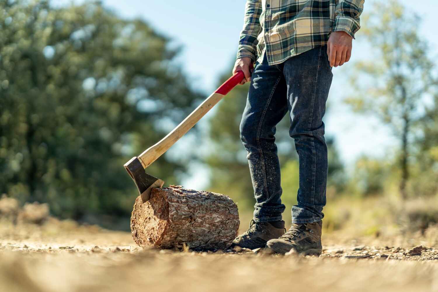 Tree Root Removal in Chickamauga, GA